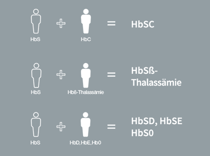 Die Arten der Sichelzellerkrankung umfassen HbSS, HbSC, HbS-Thalassämie, HbSD, HbSE und HbS0.