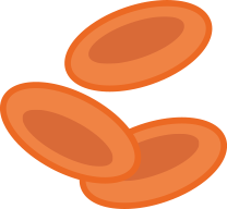 Normale Erythrozyten (rote Blutzellen)