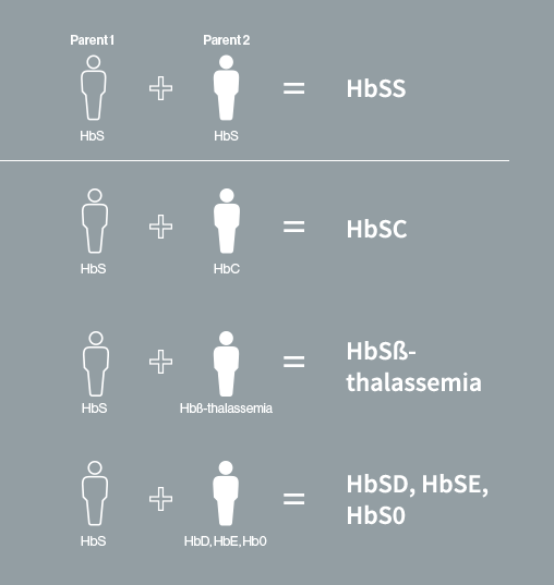 Types of sickle cell disease include HbSS, HbSC, HbS- thalassemia, HbSD, HbSE, and HbS0